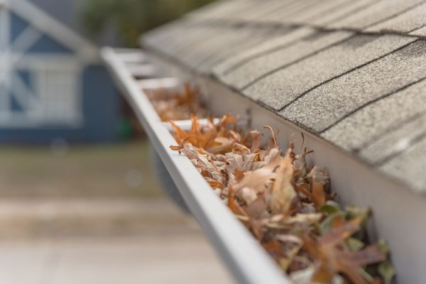 Leaf Barrier Installation in Poughkeepsie